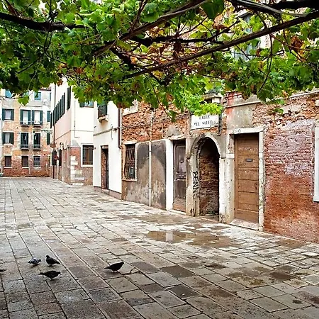 Vite Dorata