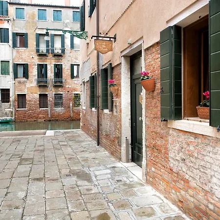 Vite Dorata Venise